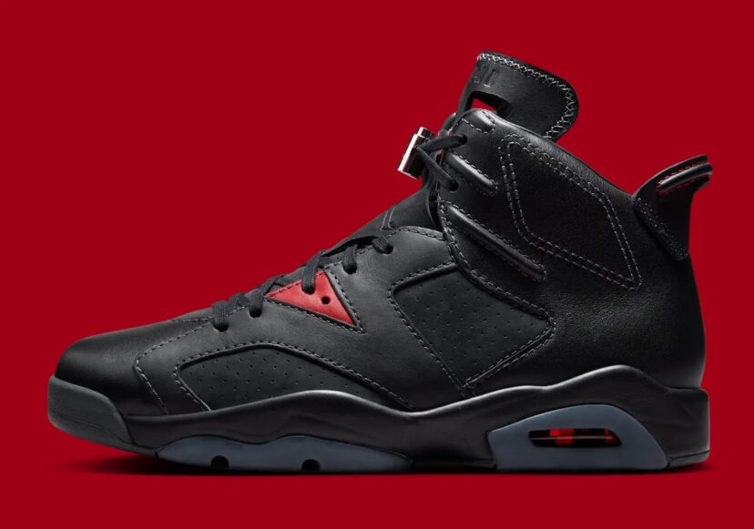 Air Jordan 6 Premio BIN 23