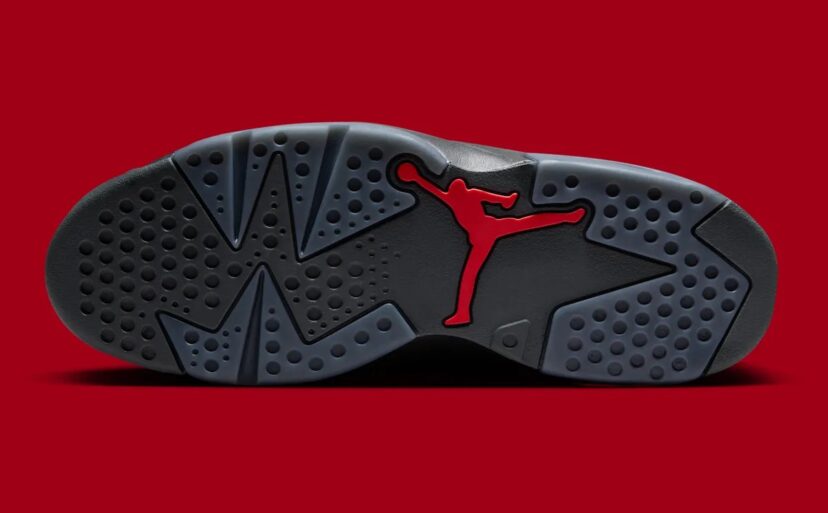Air Jordan 6 Premio BIN 23