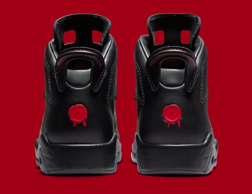 Air Jordan 6 Premio BIN 23