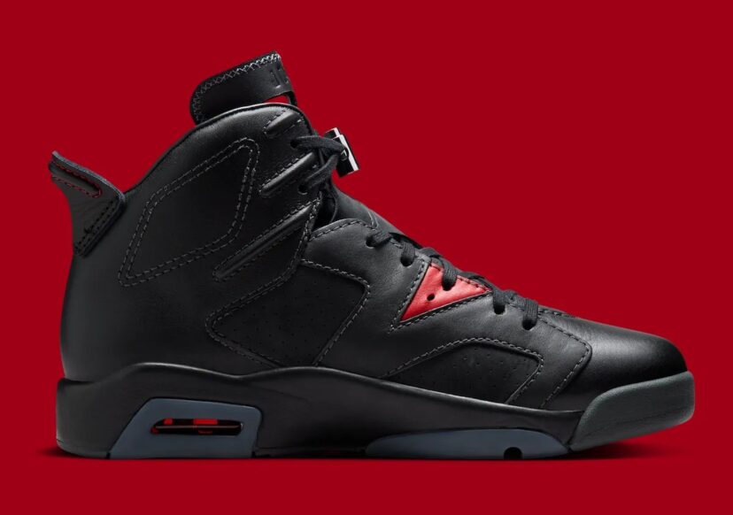 Air Jordan 6 Premio BIN 23