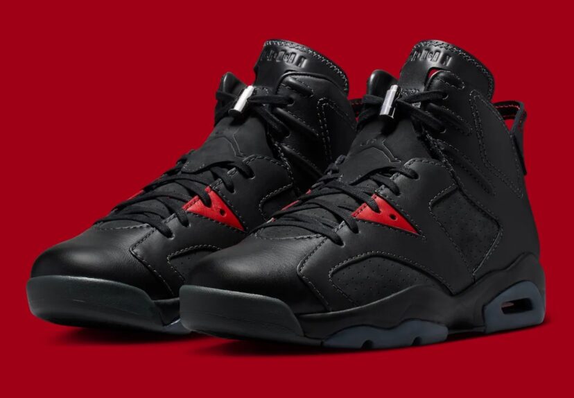 Air Jordan 6 Premio BIN 23