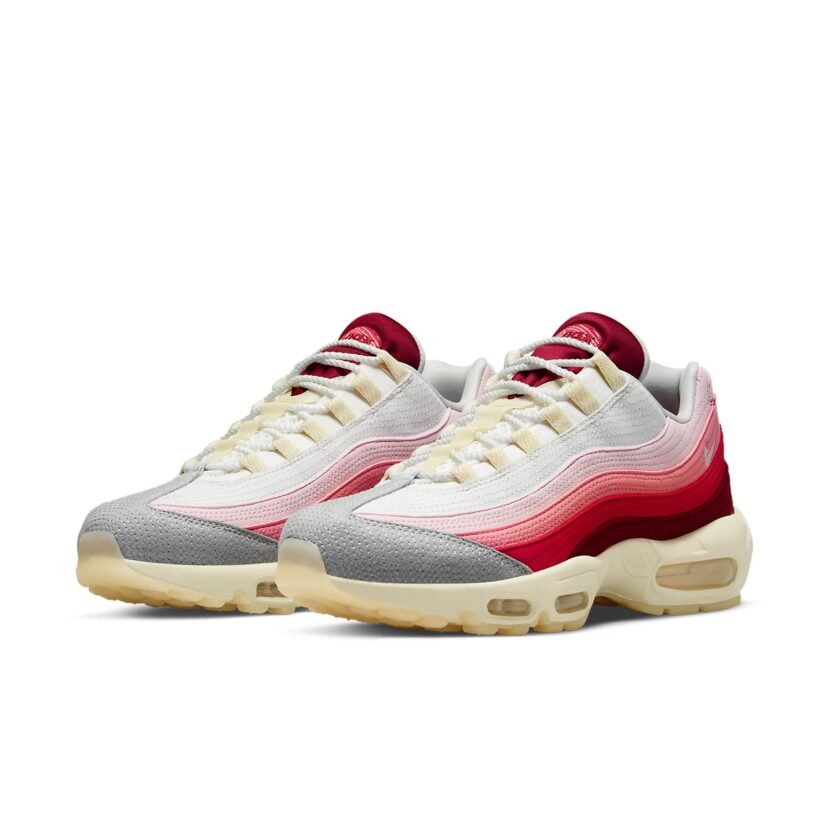 Air Max 95 Anatomy Of Air
