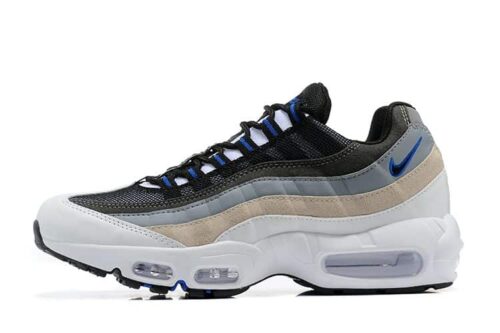 Air Max 95 Highlighted With Blue Accents