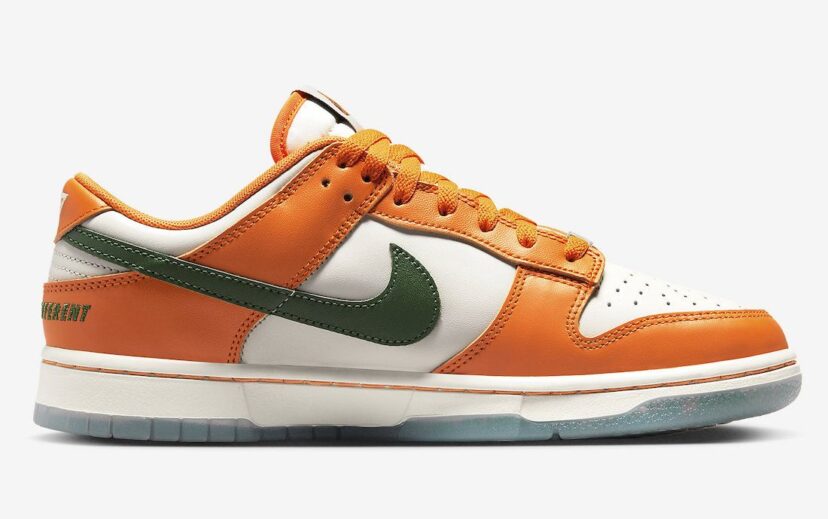 Dunk Low Florida A&M University Orange