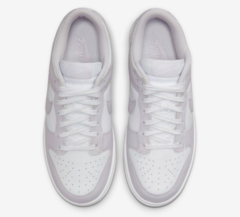 Dunk Low Venice