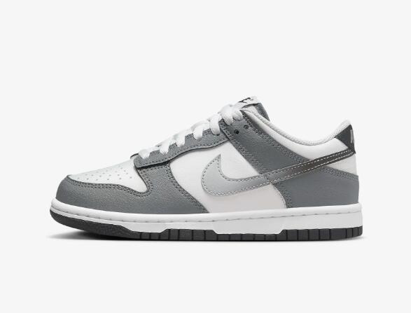Nike Dunk Low ‘Cool ‘Grey’