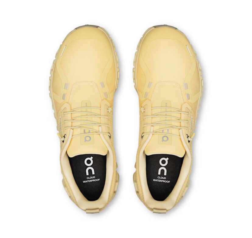 ON Women's Cloud 6 Waterproof Nectar/Castor